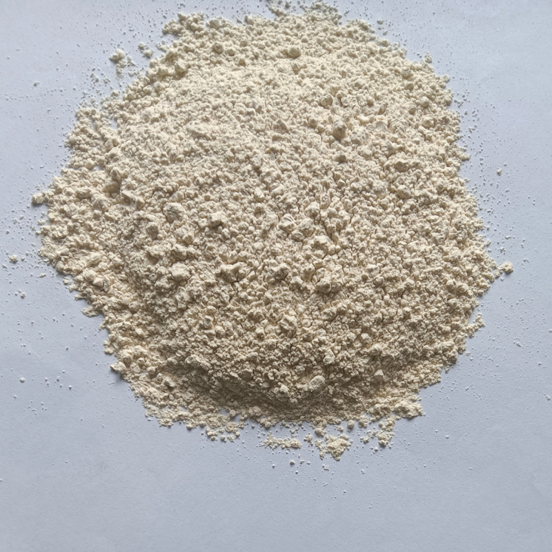 Onion Powder