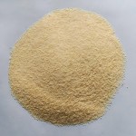 Garlic Powder