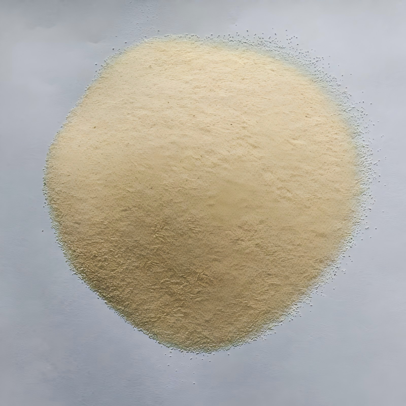 Garlic Slices