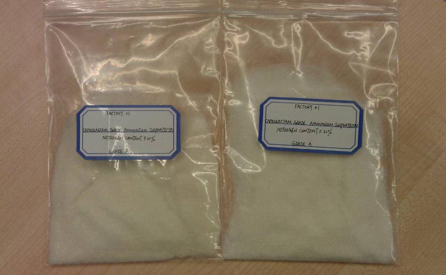 CAPROLACTAM GRADE AMMONIUM SULPHATE (SA)