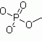 CHOLINE GLYCEROPHOSPHATE