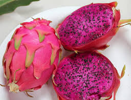 DRAGON FRUIT